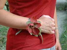 magnolia corsage bracelet